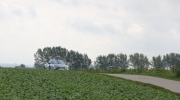 {2E4C8EC5-0A9C-4A5B-9D43-4E38CD698330}_IMG_4324