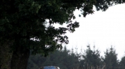 {807F0644-685C-4CED-90D0-F77568FFC098}_IMG_9778