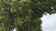 {536F3EAA-0623-4F99-9E50-7DDAA9160095}_IMG_6804