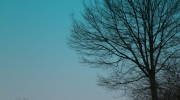 {A6CD037C-662D-4F87-AC84-E1805710E272}_IMG_1695