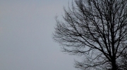 {D202CC66-1B67-4188-9EA6-997A47A9492A}_IMG_1694