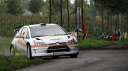 {B1EAF556-5313-491C-A099-1560C848DF66}_devriese_herwig53