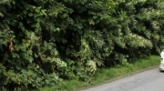 {EDF3AB66-6824-4374-AD08-DF6817A1E9B7}_IMG_4551