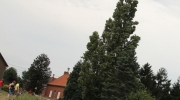 {21CCA8A5-6C96-45E6-AC6E-11C2F2D0F502}_IMG_8785