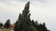 {4F5E50E7-ADE0-4871-8BD9-E8B54B067950}_IMG_8786