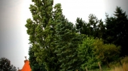 {E7CD59A5-4543-4093-95CE-E1CCC7F0F328}_IMG_8789