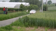 wervik07045