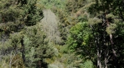 {556FA0AE-A78C-4499-B521-4449F943190C}_IMG_5298