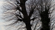 {075DB428-C7AA-4E94-8A29-3F073163D40D}_IMG_2812