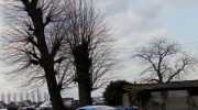 {0BD55D8E-7928-4852-8845-B5E8D0BDAC53}_IMG_2811