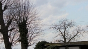 {2A0B5FB0-3A86-45A8-BA73-6CA8891AB924}_IMG_2810