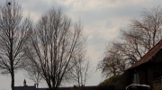 {A6AC2D60-B753-40C6-A763-FC9F54166DCB}_IMG_4530