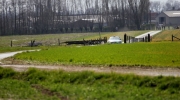 {7BC72A5B-E1FB-4513-AE34-02CD979B85AC}_IMG_7335