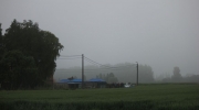 {973DAE7E-730C-4F31-99C9-50DA30572322}_IMG_5331