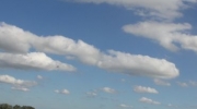 {32E456A8-AED5-4995-9C58-EBAB052DA975}_IMG_1422
