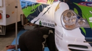 {CFE06E03-6668-446D-9242-1CE841F123E8}_IMG_7334